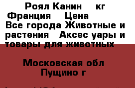  Роял Канин 20 кг Франция! › Цена ­ 3 520 - Все города Животные и растения » Аксесcуары и товары для животных   . Московская обл.,Пущино г.